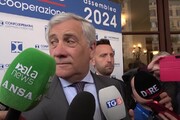 Tajani: 'Su Toti si poteva intervenire in un altro momento'